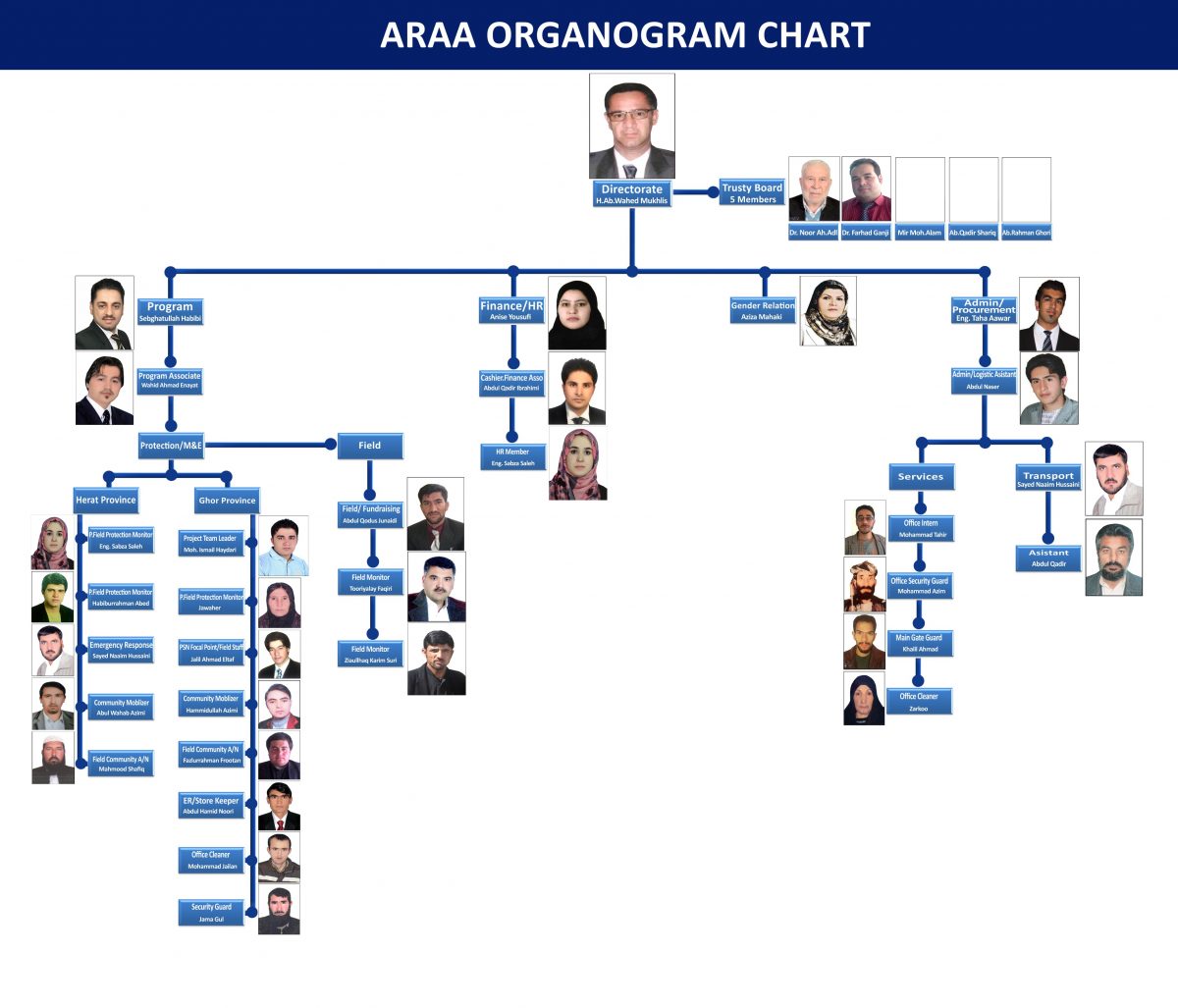 About Araa – Araa